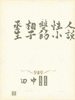 丞相双性人是受生子的小说