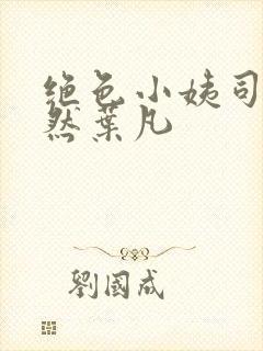 绝色小姨司空嫣然叶凡