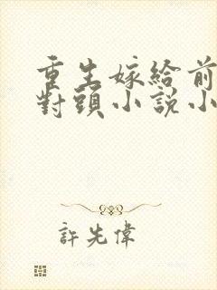 重生嫁给前夫死对头小说小说封面