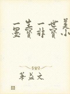 一生一世美人骨墨宝非宝小说全文阅