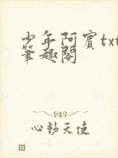 少年阿宾txt笔趣阁