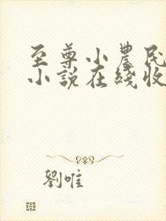 至尊小农民有声小说在线收听