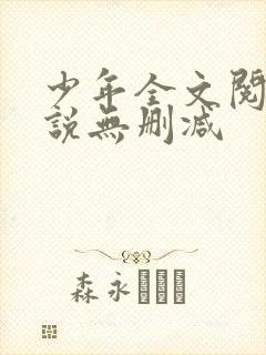 少年全文阅读小说无删减