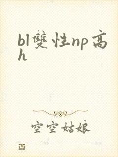 bl双性np高h封面