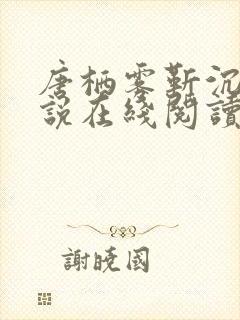 唐栖雾靳沉野小说在线阅读封面