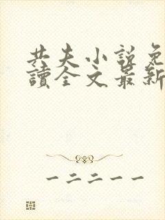 共夫小说免费阅读全文最新章节