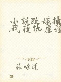 小说改嫁摄政王,我复仇虐渣妹封面