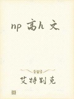 np 高h 文
