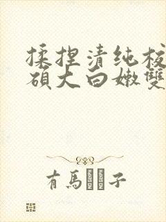 揉捏清纯校花的硕大白嫩双乳小说