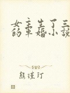 女主生了三胞胎的军婚小说