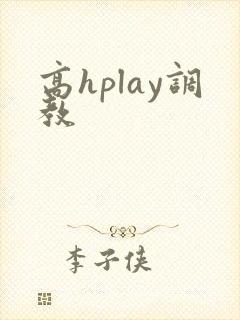 高hplay调教