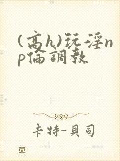 (高h)玩淫np伦调教
