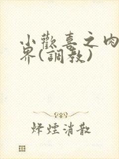 小欢喜之肉淫世界(调教)