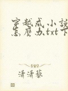 穿越成小说反派怎么办txt下载