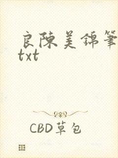 良陈美锦笔趣阁txt封面