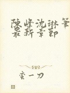 陈峰沈琳笔趣阁最新章节