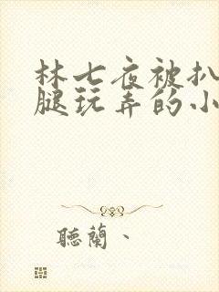 林七夜被扒开双腿玩弄的小说