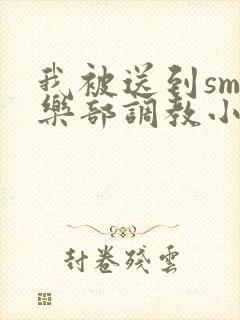 我被送到sm俱乐部调教小说