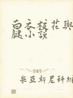 白衣校花与大长腿小说封面