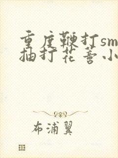 重度鞭打sm 抽打花蒂小说