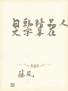 日韩精品人妻中文字幕在