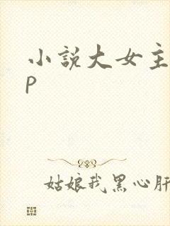 小说大女主无cp