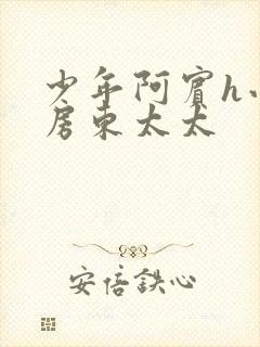 少年阿宾h小说房东太太