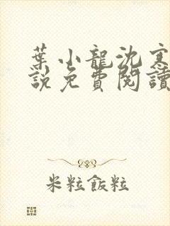 叶小龙沈寒溪小说免费阅读全文无弹窗