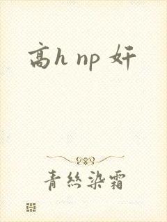 高h np 奸