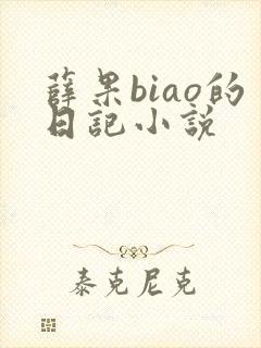 薛果biao的日记小说封面