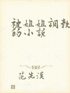 被姐姐调教榨精的小说封面