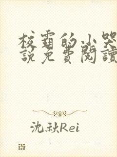 校霸的小哭包小说免费阅读在线封面