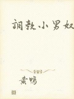 调教小男奴小说