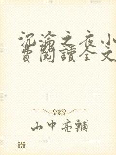 沉沦之夜小说免费阅读全文