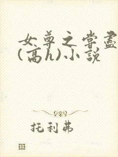 女尊之尝尽男色(高h)小说