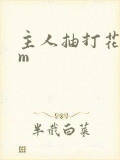 主人抽打花蒂sm