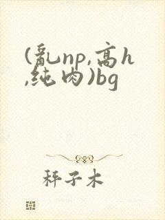 (乱np,高h,纯肉)bg