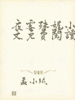 夜雾殊娓小说全文免费阅读封面