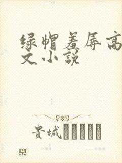 绿帽羞辱高辣h文小说