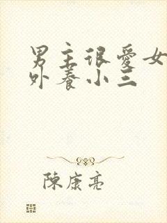 男主很爱女主在外养小三