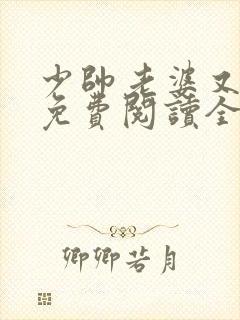 少帅老婆又跑了免费阅读全文