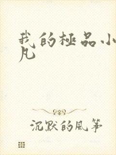 我的极品小姨叶凡封面