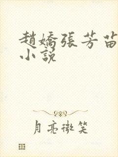 赵娇张芳苗哲的小说