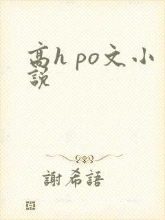高h po文小说封面