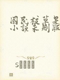 国民校草是女生小说未删版下载txt封面