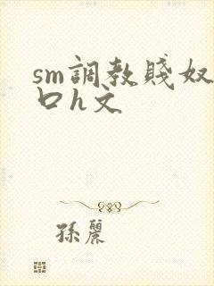 sm调教贱奴重口h文