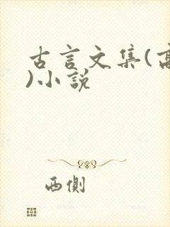 古言文集(高h)小说