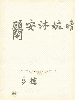 顾安沐婉晴笔趣阁封面