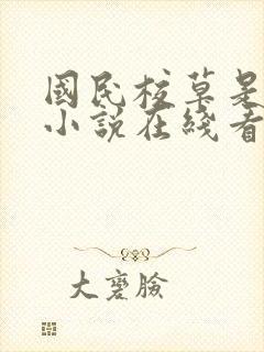 国民校草是女生小说在线看