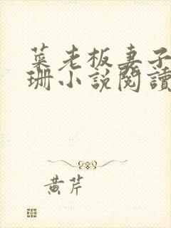 菜老板妻子李芷珊小说阅读